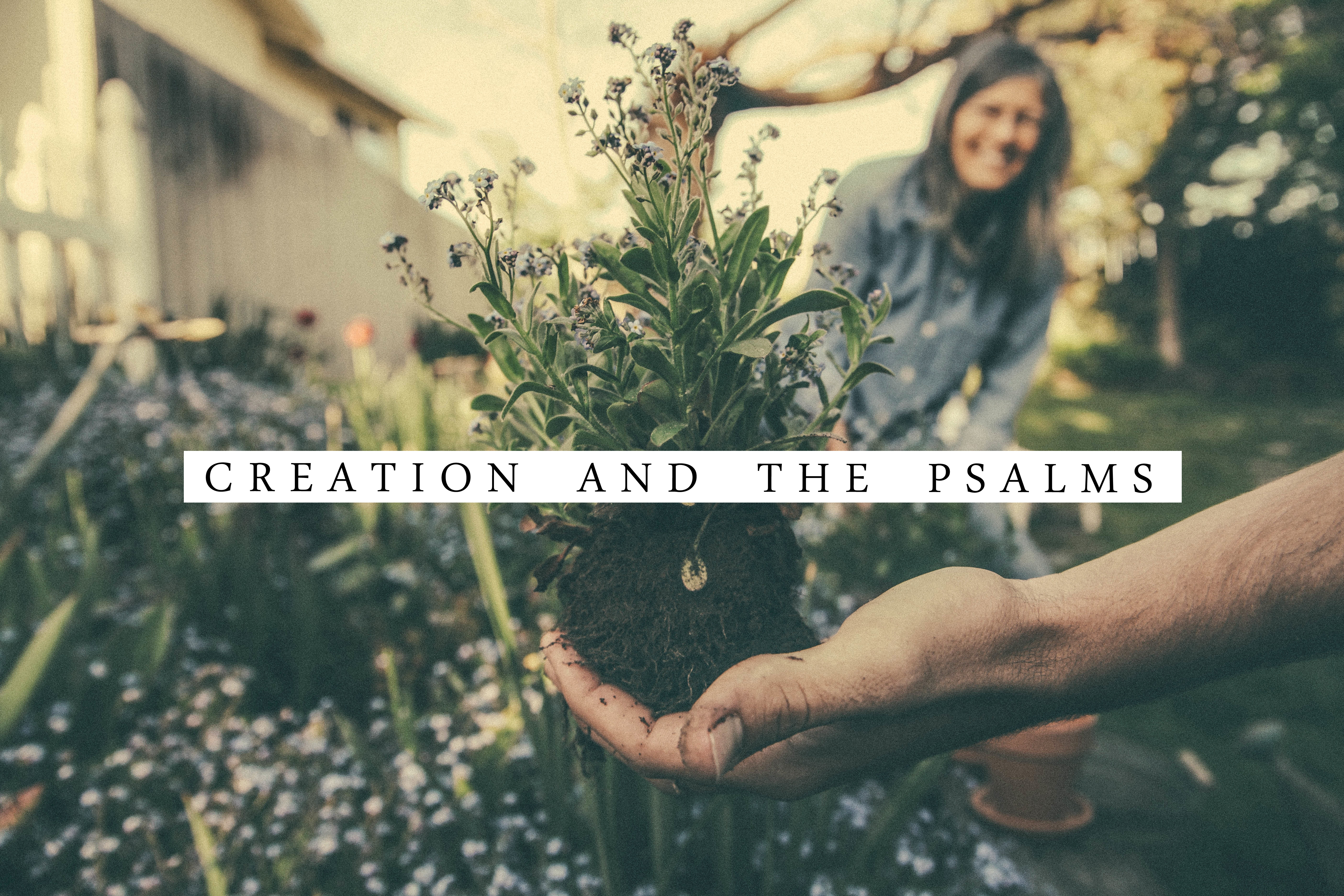 Creation and God’s Blessing